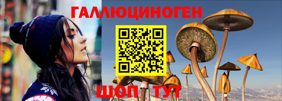 Галлюциногенные грибы мицелий Миллерово