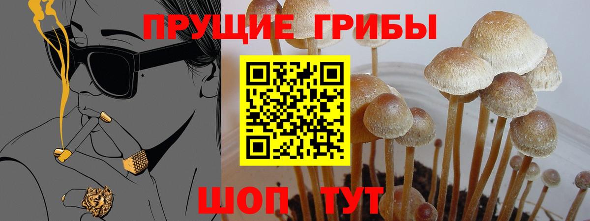 Миллерово  Галлюциногенные грибы мицелий  Псилоцибиновые грибы Magic Shrooms  Вход с VPN 